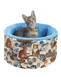 Digital photography taken of smaller children or pets - Product photography